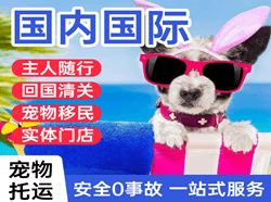 平潭机场物流国际宠物托运 【国